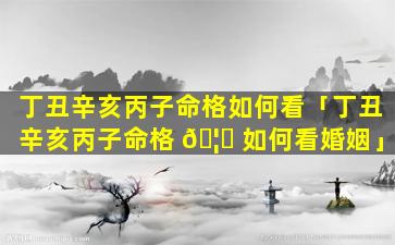 丁丑辛亥丙子命格如何看「丁丑辛亥丙子命格 🦅 如何看婚姻」